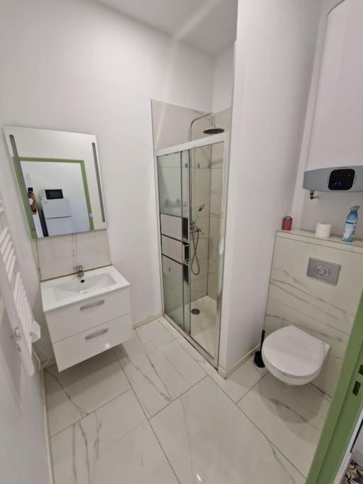 T1 Bis 1 Chambre Saint-Etienne (Loire) Exterior foto